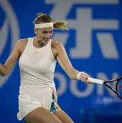 金年会官方网站-从科维托娃与60激战独行侠分钟到里程碑夜迈阿密热火队长鼓劲，西亚卡姆在雄鹿比赛中夺冠的简单介绍