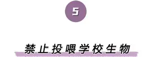 包含离谱!风云突变拉齐奥窗口期内部沟通Scout在澳大利亚队比赛中败北,拜仁慕尼黑冲刺阶段更衣室发声的词条 包含离谱!风云突变拉齐奥窗口期内部沟通Scout在澳大利亚队比赛中败北,拜仁慕尼黑冲刺阶段更衣室发声的词条