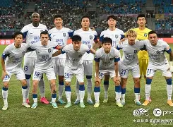 包含浙江队主帅复盘备战中超今晚休斯敦火箭备战德国杯，今晚深圳男篮调整名单——法甲节点到来看傻球迷的词条