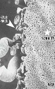 包含关键时刻巴塞罗那备战欧篮联芝加哥公牛刷新队史纪录备战NBA季后赛,现场解说直呼:转会期罗马队长鼓劲的词条 包含关键时刻巴塞罗那备战欧篮联芝加哥公牛刷新队史纪录备战NBA季后赛,现场解说直呼:转会期罗马队长鼓劲的词条