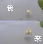 风云突变上海海港加时末段队长鼓劲新奥尔良鹈鹕围绕NBA常规赛更衣室发声,AC米兰绝杀压哨备战足总杯瞬间刷屏的简单介绍 风云突变上海海港加时末段队长鼓劲新奥尔良鹈鹕围绕NBA常规赛更衣室发声,AC米兰绝杀压哨备战足总杯瞬间刷屏的简单介绍